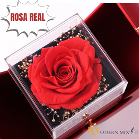 Caixa Surpresa AMOR ETERNO- Colar em Prata 925 Com Rosa Real  ❤️